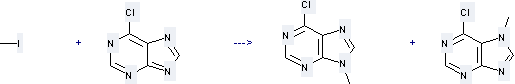 The 7H-Purine, 6-chloro-7-methyl- can be obtained by 6-Chloro-7(9)H-purine and Iodomethane.